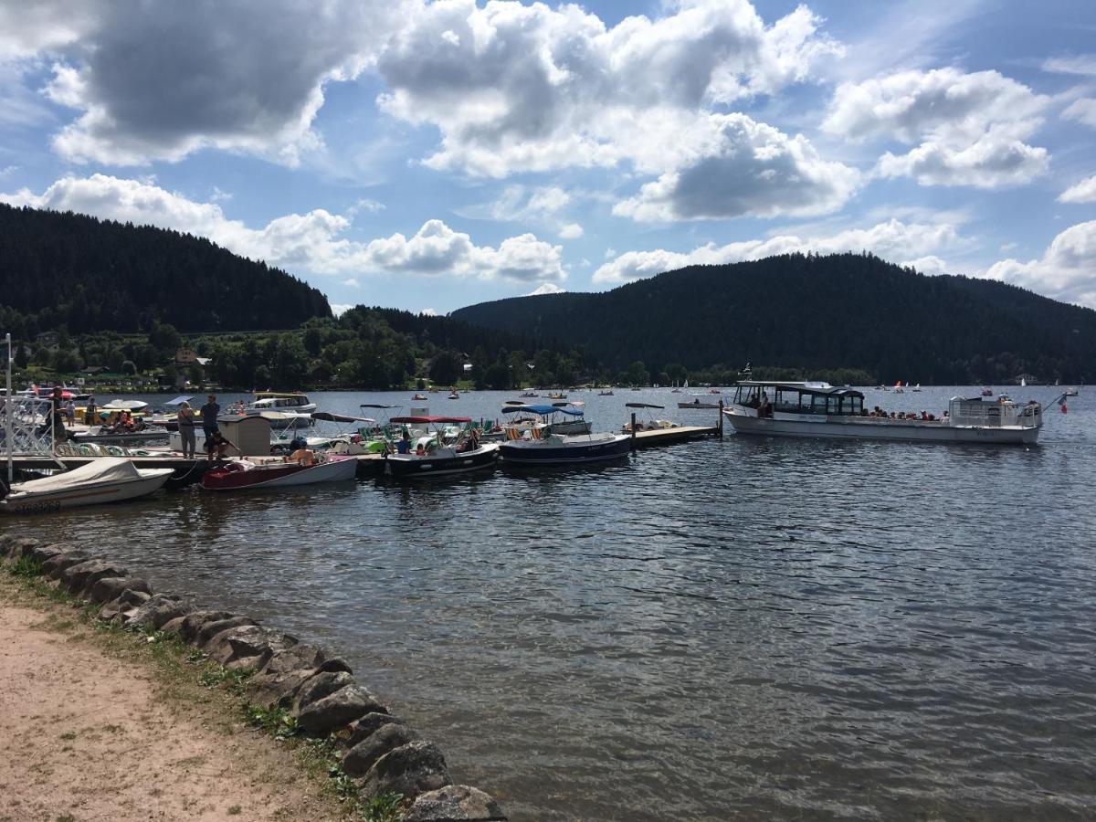 Gite Les Dryades Gérardmer Dış mekan fotoğraf