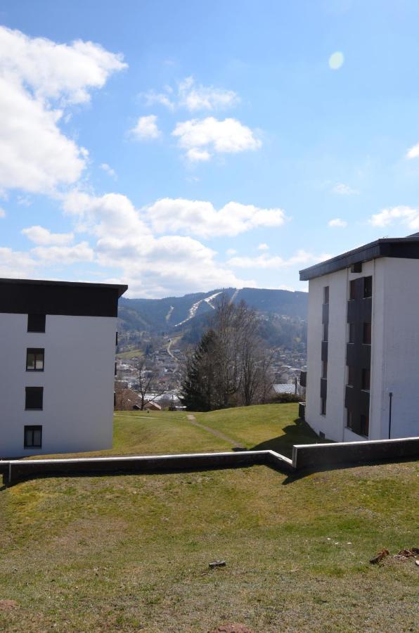 Gite Les Dryades Gérardmer Dış mekan fotoğraf