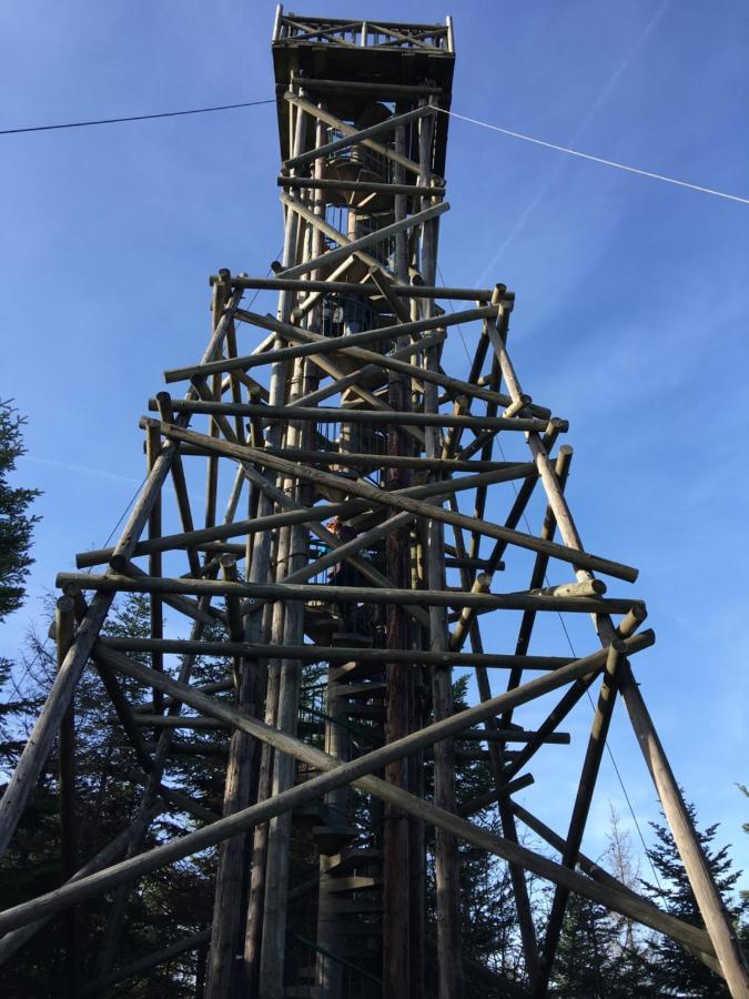 Gite Les Dryades Gérardmer Dış mekan fotoğraf