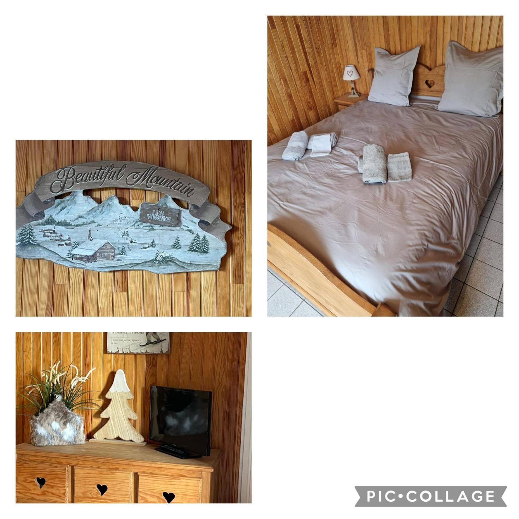 Gite Les Dryades Gérardmer Dış mekan fotoğraf
